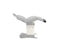 Midmark - Exam Table Foot Extension - 028-0682-00-232
