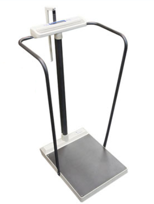 Platform Scale