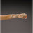 Wrist, Hand and Finger