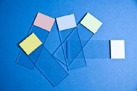 Fisherbrand Selectfrost - Microscope Slide 25 X 75 X 1 mm Blue End - 1255001