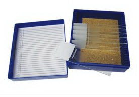 Fisher Anatomical - Control Slide Pneumocystis Tissue - 22026702