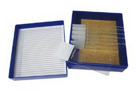Fisher Anatomical Control Alcian Blue Tissue - 22026703