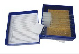 Fisher Anatomical Control Elastic Tissue - 22026708