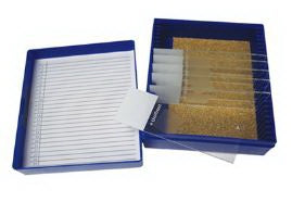 Fisher Anatomical Control Fungi-PAS Tissue - 22026710