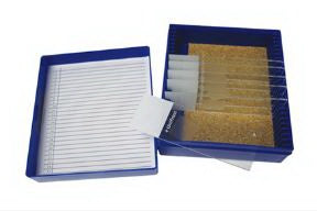 Fisher Anatomical - Control Slide Glycogen Tissue - 22026713