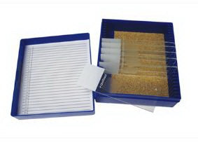Fisher Anatomical Control Reticulum Tissue - 22026722