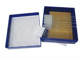 Fisher Anatomical - Control Slide Trichrome Tissue - 22026723