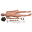 Nasco Simulaids Patient Care CPR Manikin Male / Female Interchangeable 105 lbs. Cast Vinyl Over A Steel Cable Frame - 150-1325
