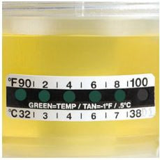 Globe Scientific Liquid Crystal Thermometer Strips Accuracy ± 1°F For Drug Testing And Urine Collection Containers - 112215