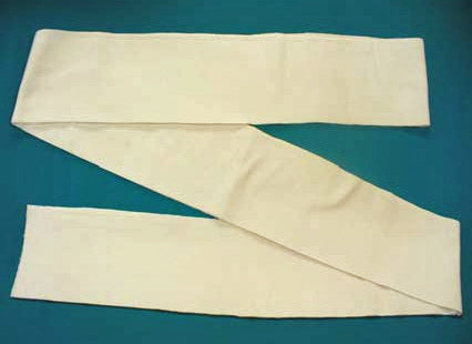 Bioseal Bioseal Sterilization Roll 4 X 120 Inch Flannel - 14120/24