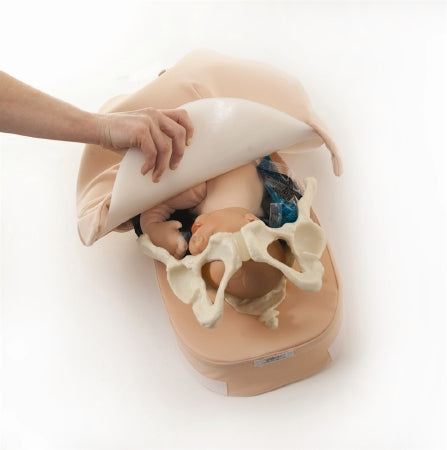 Nasco - Abdominal Palpation Model - SB23476