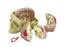 Anatomical Chart Company Diseased Brain in Skull Model Life Size - G290