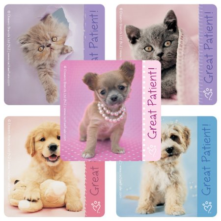 Smilemakers  100 Per Unit Rachael Hale Dog Sticker 2.5 Inch - ST307R