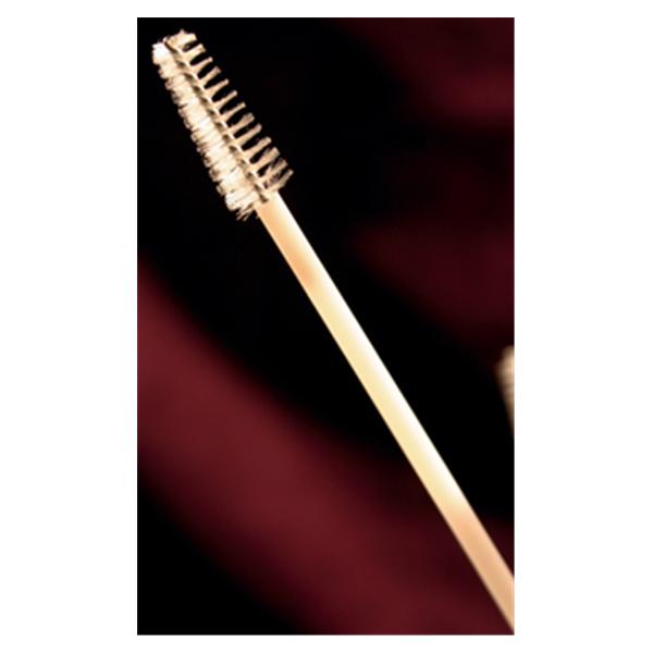 Cytology Brush