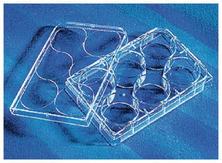 Fisher Scientific CellBind Multiwell Cell Culture Dish Polystyrene - 08-757-214