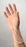 Cardinal - Exam Glove Medium NonSterile Vinyl Standard Cuff Length Smooth Clear Not Chemo Approved - 8887DOTP