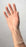 Cardinal Exam Glove Medium NonSterile Vinyl Standard Cuff Length Smooth Clear Not Chemo Approved - 8887DOTP