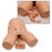 Nasco Willi and Cathi Catheterization Trainer Unisex 3 lbs. - SB50115