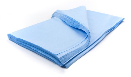 McKesson McKesson Argent Sterilization Wrap, 100 Grade Light Blue 24 X 24 Inch Dual Layer SMS Polypropylene - 158-12724