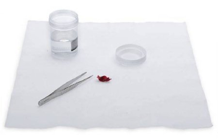 Market Lab - Formalin Neutralizing Pad 13 X 13 Inch, 2.05 lbs. Weight - 5162
