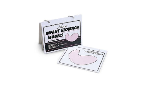 Nasco - Flip Chart Infant Stomach Guide 6 X 7 Inch Plastic Ring Bound Siky Screen - WA16941