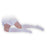 Carolon Company Stocking Anti-Embolism Cap Knee High Inspection Toe Large Unisex White 10/Bx - 531