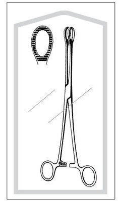 Merit - Sponge Forceps Foerster-Ballenger 9-1/2 Inch Length Mid Grade Stainless Steel Sterile Ratchet Lock Finger Ring Handle Straight Serrated Fenestrated Jaws - 96-2533M