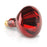 Lhasa OMS Sylvania Replacement Bulb 250 Watts - IR.BULB