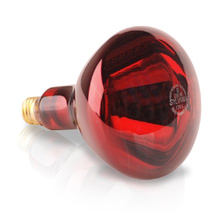 Sylvania - Light Bulb 250 Watts - IR.BULB
