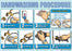 WorkSafe - Pre-Printed Label Worksafe Advisory Label White Handwash Technique Black Biohazard - 510-51190025