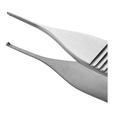 Lil' Tips - Tissue Forceps Adson 4-3/4 Inch Length Surgical Grade Stainless Steel Sterile NonLocking Thumb Handle Straight 1 X 2 Teeth - Medline - 67505