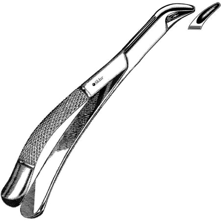 Sklar - Extracting Forceps OR Grade Stainless Steel NonSterile NonLocking Plier Handle Curved #151S Serrated Tips - 49-4440