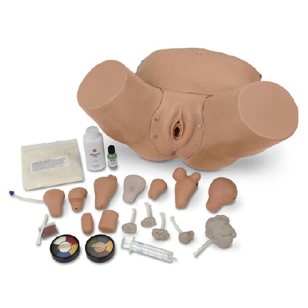 Nasco Life/Form Advanced Pelvic and Gyn Simulator - LF01235
