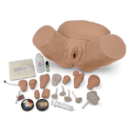 Life/Form - Advanced Pelvic and Gyn Simulator Life/form - LF01235