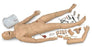 Laerdal - Nursing Kelly Manikin Male - LG02045