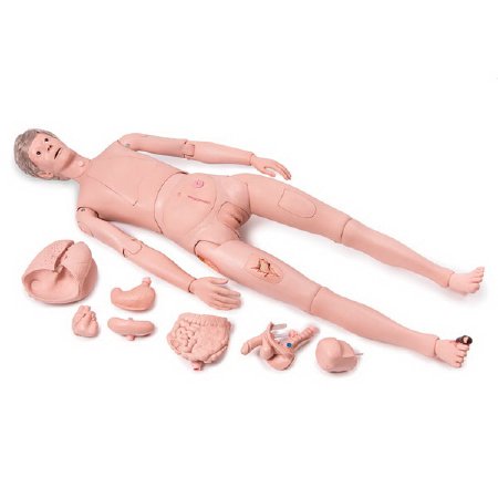 American 3B Scientific - Patient Care Pro Training Manikin Male / Female Interchangeable 52 lbs. Plastic - SB51955