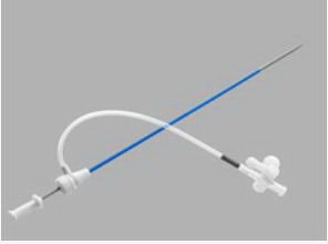 Performer - Introducer 12 Fr. X 13 cm Length X 4 mm ID For up to 0.038 Inch Diameter Guidewire - G07601