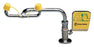 Fisher Scientific Eyewash Station Right Hand Mount - 19811736