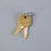 Health Care Logistics Cart Master Lock Key For 1391 Cart - 1253MC