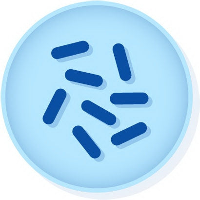 Microbiologics Inc KWIK-STIK Microbial Identification Quality Control Organism C. Difficile 6 Units - 0329K