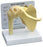 Alimed GPI Anatomicals Basic Shoulder Model Full Size - 70578