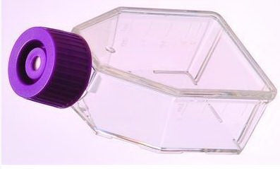 PANTek Technologies - Flask Cell Culture Polystyrene 600 mL - 10062-864
