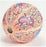 Fisher Scientific Clever Catch Human Anatomy - S67653