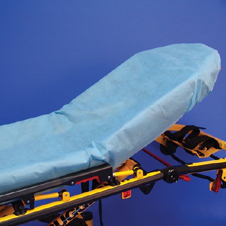 Taylor Healthcare Products SureFit Stretcher Sheet Fitted 34 W X 84 L Inch Blue Impervious Nonwoven Polypropylene Disposable - 90-BIS3484