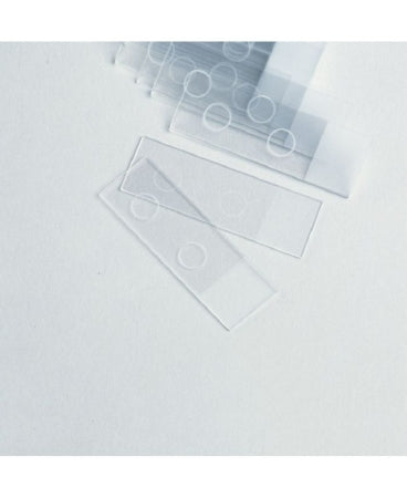 Cardinal Health - Fluorescent Antibody Microscope Slide 25 X 75 X 1 mm Frosted End - M6177