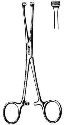 Econo - Tissue Grasping Forceps Allis 6 Inch Length Floor Grade Pakistan Stainless Steel NonSterile Ratchet Lock Finger Ring Handle Straight Blunt Vertical Serrated Jaws with Double Row of Atraumatic Teeth - 21-941