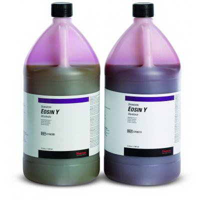 Fisher Scientific - Eosin Y Stain 1% Alcoholic 4 Liter - 6766008