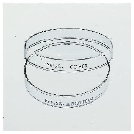 Pyrex - Petri Dish Borosilicate Glass - 08747D