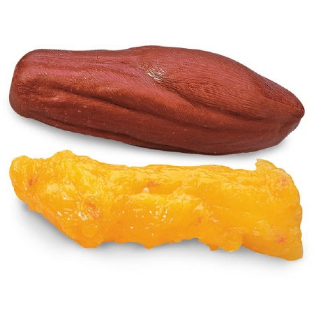Life/Form - Fat and Muscle Replicas Life/form 5 lbs. Vinyl Plastic - WA25814