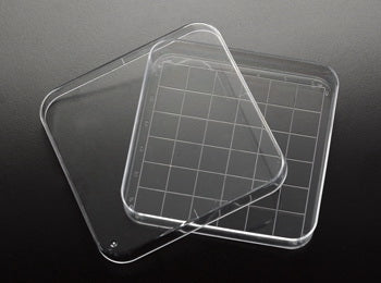 Simport Scientific Petri Dish Polystyrene - D210-13